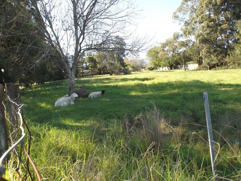 12 Croobyar Road, Milton NSW 2538