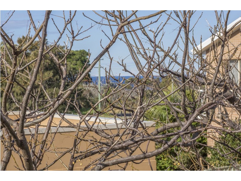 3/103 Deering Street, Ulladulla NSW 2539