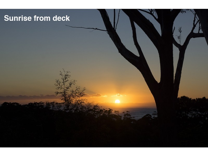 42 Pengana Crescent, Mollymook NSW 2539