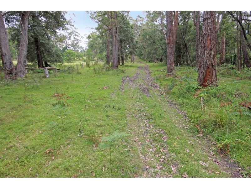 317B Little Forest Road, Little Forest NSW 2538