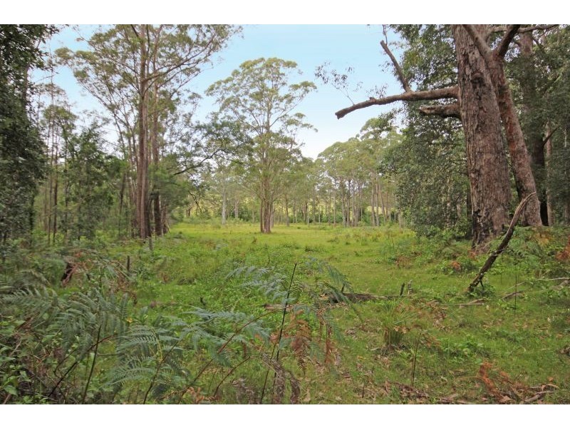 317B Little Forest Road, Little Forest NSW 2538