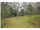 317B Little Forest Road, Little Forest NSW 2538