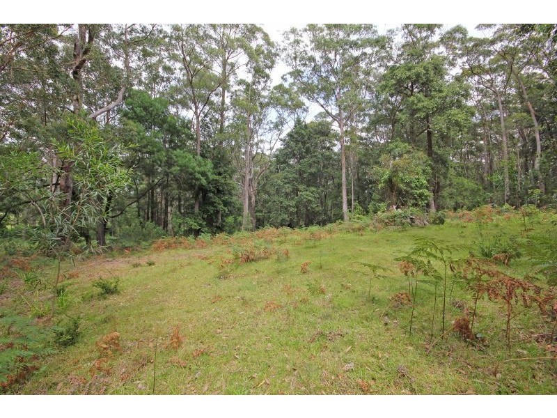 317B Little Forest Road, Little Forest NSW 2538