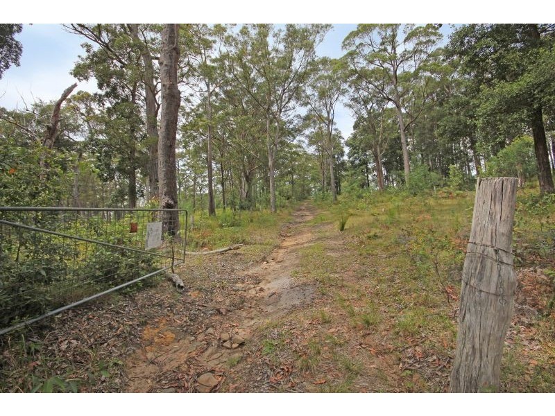 317B Little Forest Road, Little Forest NSW 2538
