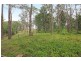 317B Little Forest Road, Little Forest NSW 2538