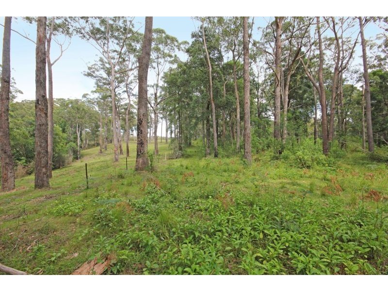 317B Little Forest Road, Little Forest NSW 2538