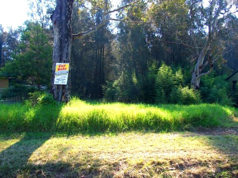 3 Lurnea Avenue, Bawley Point NSW 2539