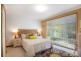 14 Sanderling Place, Bawley Point NSW 2539