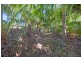 24 Wilfords Lane, Milton NSW 2538