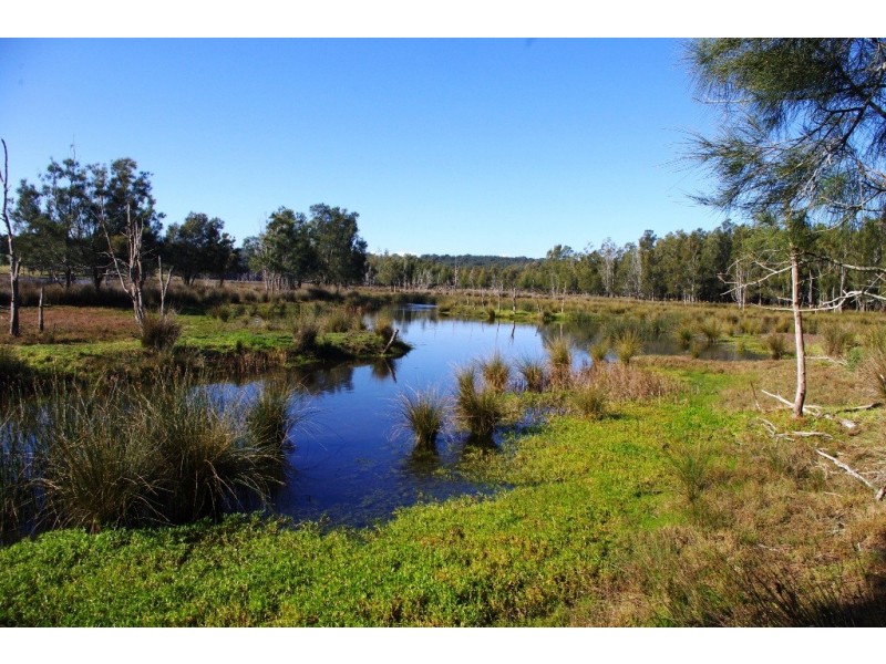 318 Wilfords Lane, Milton NSW 2538