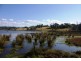 318 Wilfords Lane, Milton NSW 2538