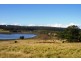 318 Wilfords Lane, Milton NSW 2538
