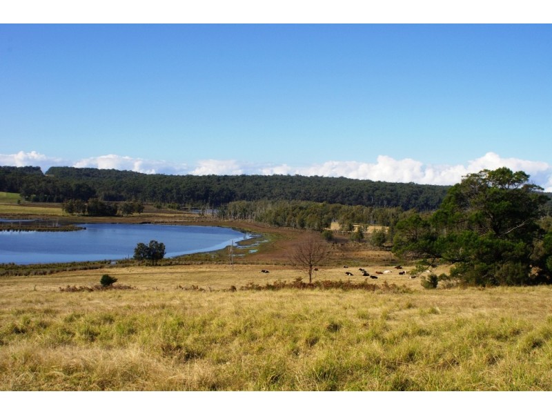 318 Wilfords Lane, Milton NSW 2538