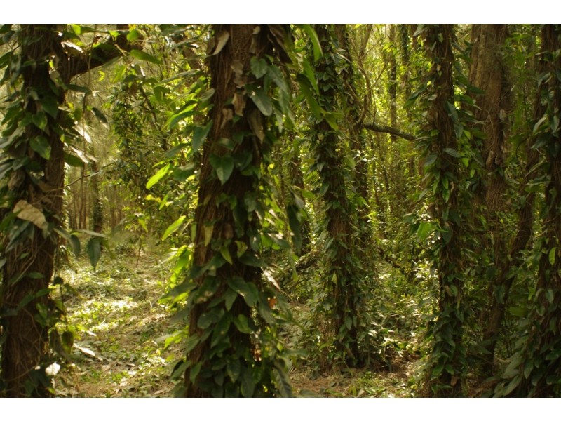 23 Deane Street, St Georges Basin NSW 2540