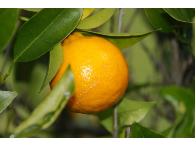 23 Deane Street, St Georges Basin NSW 2540