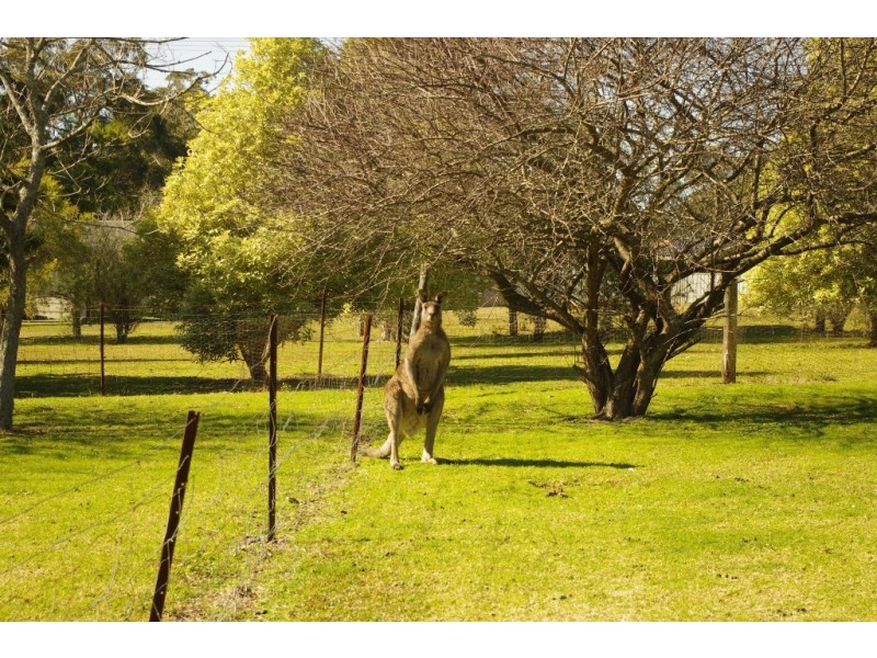 23 Deane Street, St Georges Basin NSW 2540