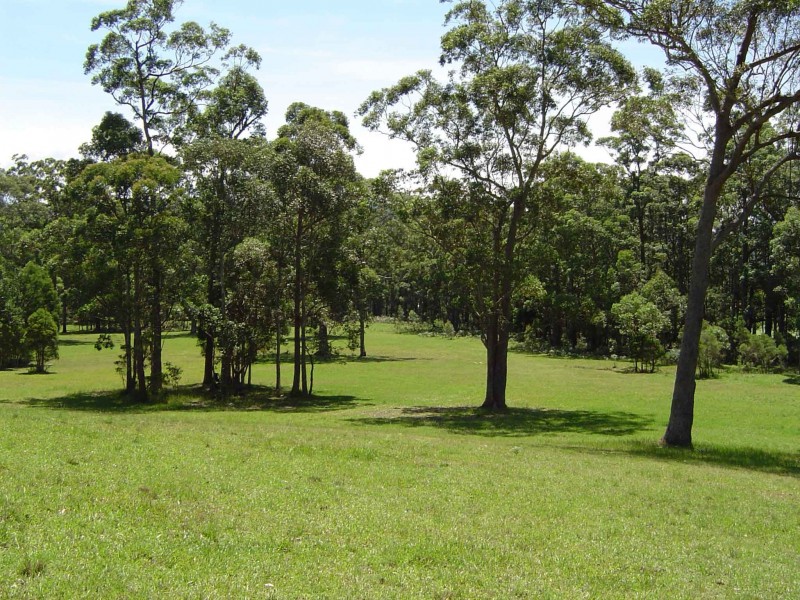 Lot 107 Spring Valley Way, Little Forest NSW 2538