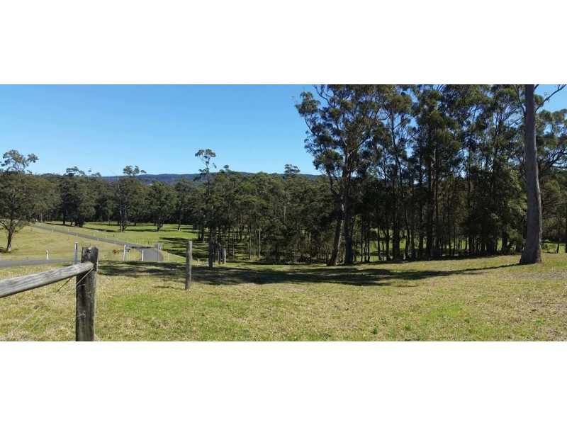 Lot 107 Spring Valley Way, Little Forest NSW 2538