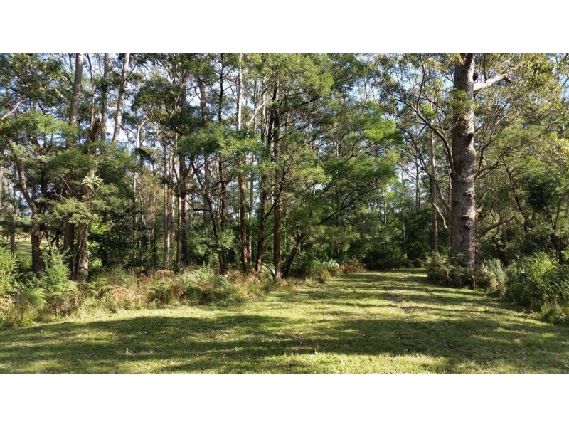 Lot 107 Spring Valley Way, Little Forest NSW 2538