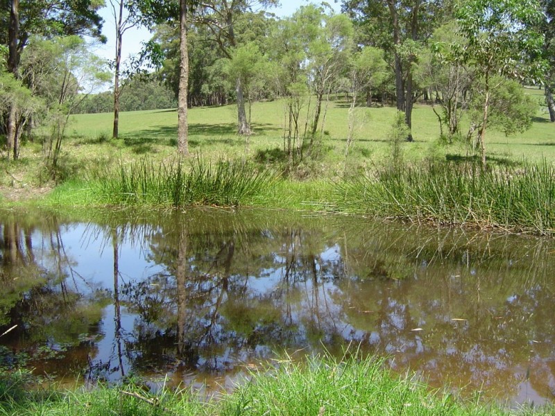 Lot 107 Spring Valley Way, Little Forest NSW 2538