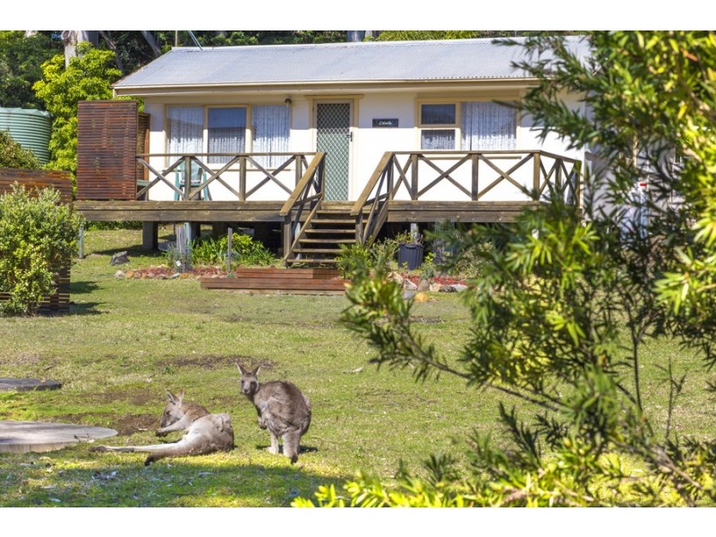 681 Murramarang Road, Kioloa NSW 2539