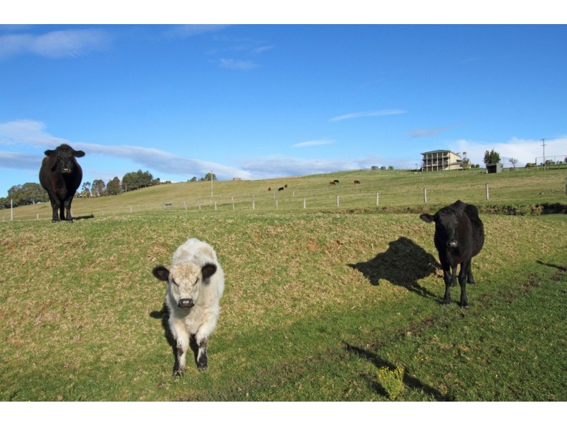 52 Fishermans Paradise Road, Conjola NSW 2539