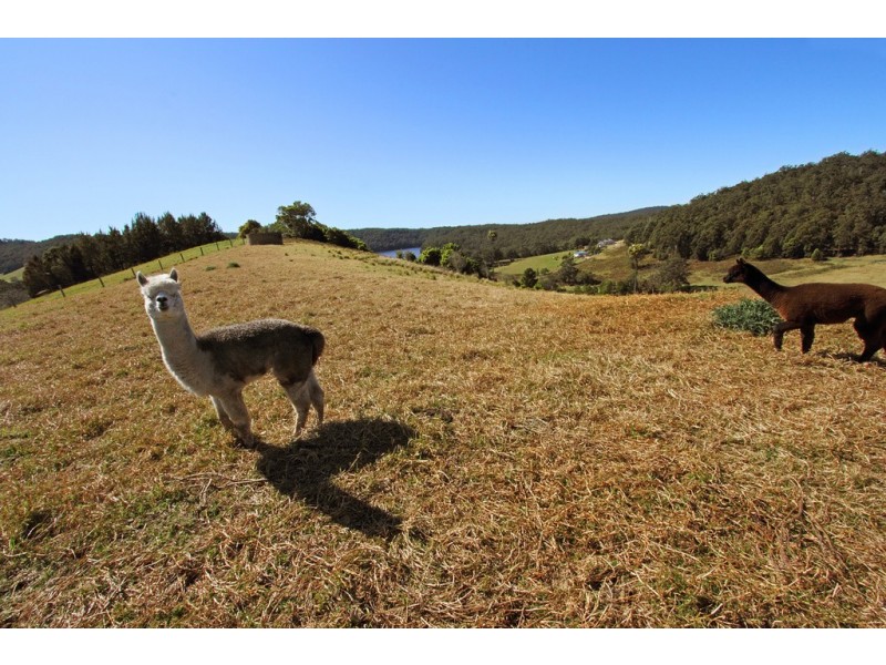 52 Fishermans Paradise Road, Conjola NSW 2539