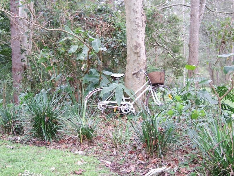 9 Oriole Street, Bawley Point NSW 2539