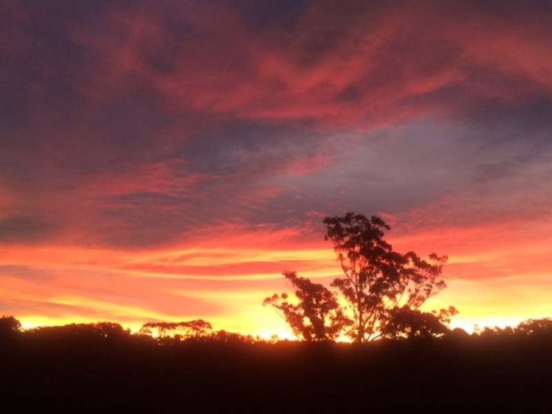 F2466 Princes Highway, Cockwhy NSW 2539