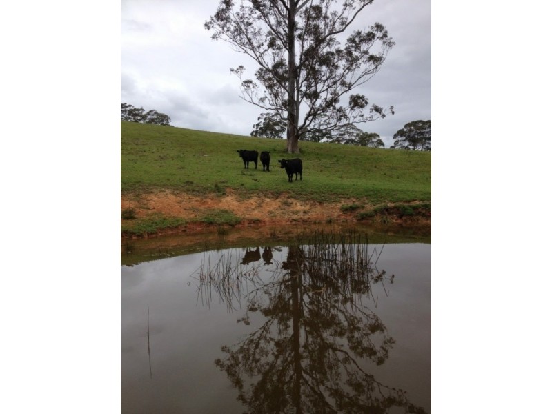 F2466 Princes Highway, Cockwhy NSW 2539