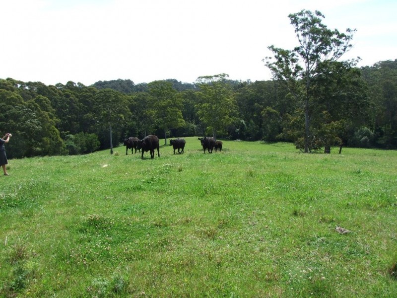 F2466 Princes Highway, Cockwhy NSW 2539