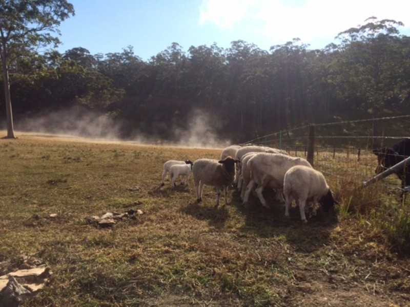 F2466 Princes Highway, Cockwhy NSW 2539