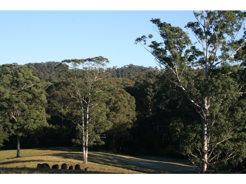 F2466 Princes Highway, Cockwhy NSW 2539