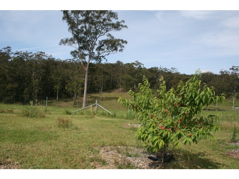 F2466 Princes Highway, Cockwhy NSW 2539