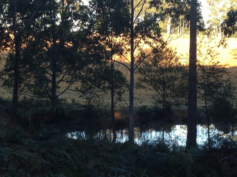 F2466 Princes Highway, Cockwhy NSW 2539