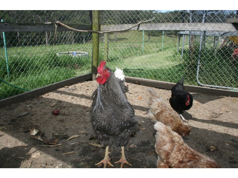 F2466 Princes Highway, Cockwhy NSW 2539