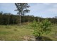F2466 Princes Highway, Termeil NSW 2539