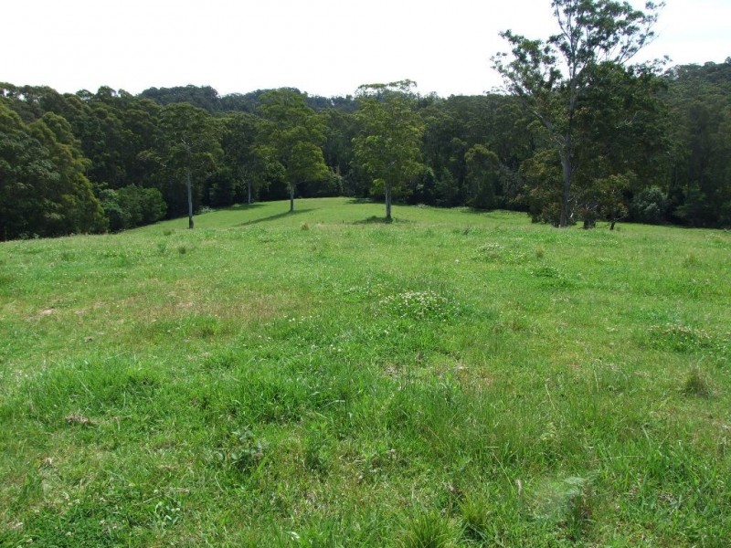 F2466 Princes Highway, Termeil NSW 2539