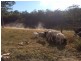 F2466 Princes Highway, Termeil NSW 2539