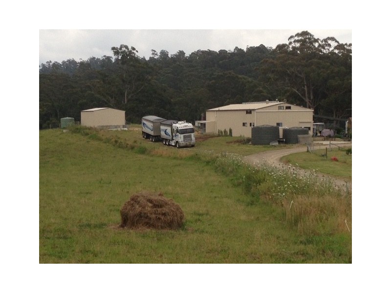F2466 Princes Highway, Termeil NSW 2539