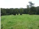 F2466 Princes Highway, Termeil NSW 2539