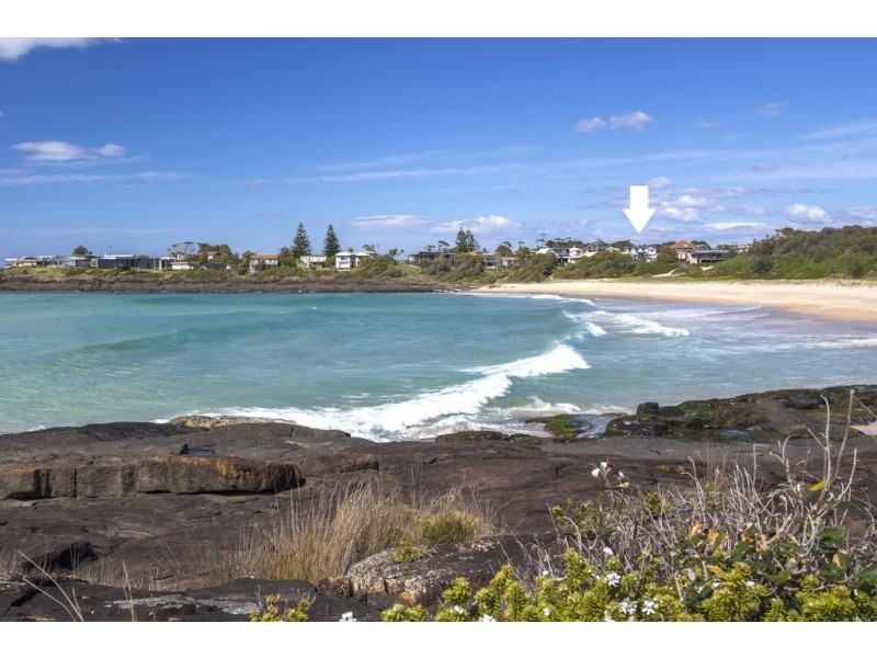 20 Harrington Crescent, Bawley Point NSW 2539