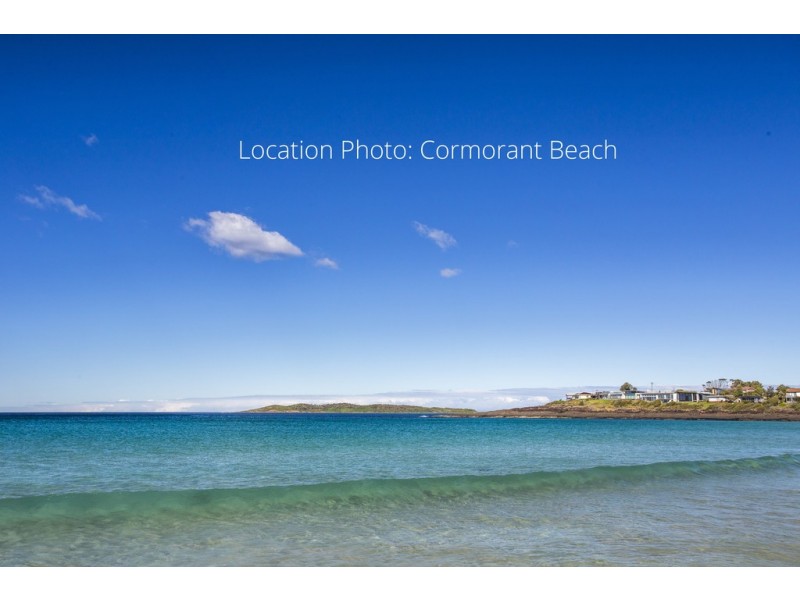 20 Harrington Crescent, Bawley Point NSW 2539