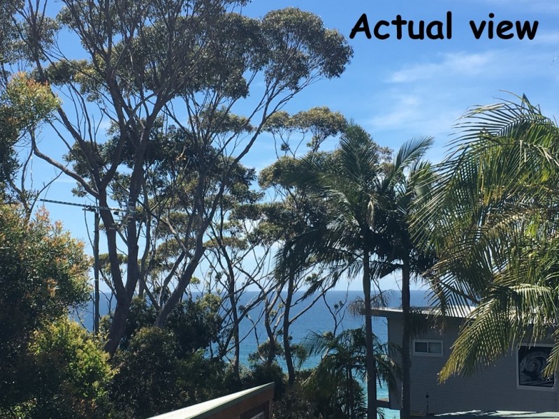106 Matron Porter Drive cnr Victor Avenue, Narrawallee NSW 2539