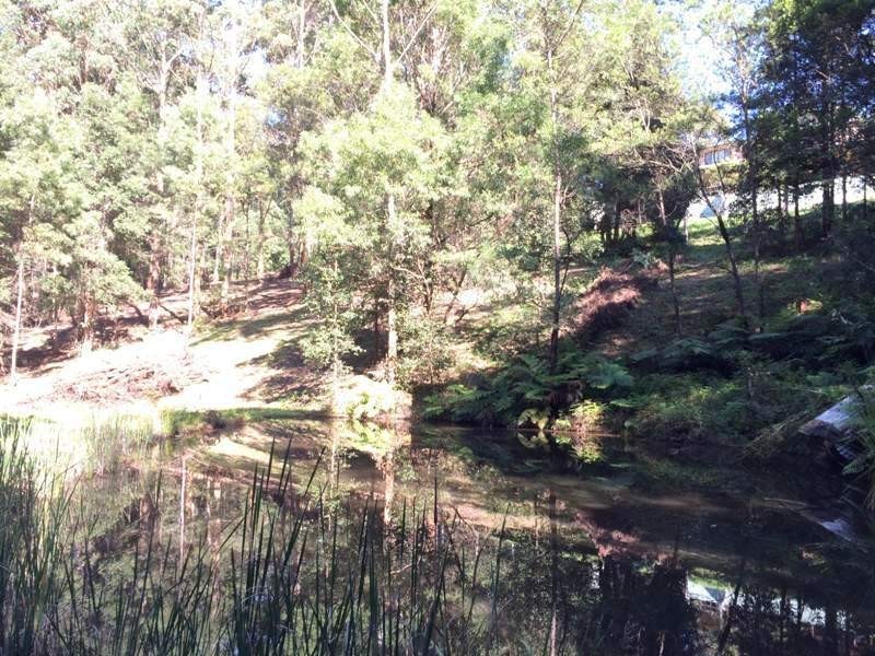 F1815 Princes Highway, Termeil NSW 2539