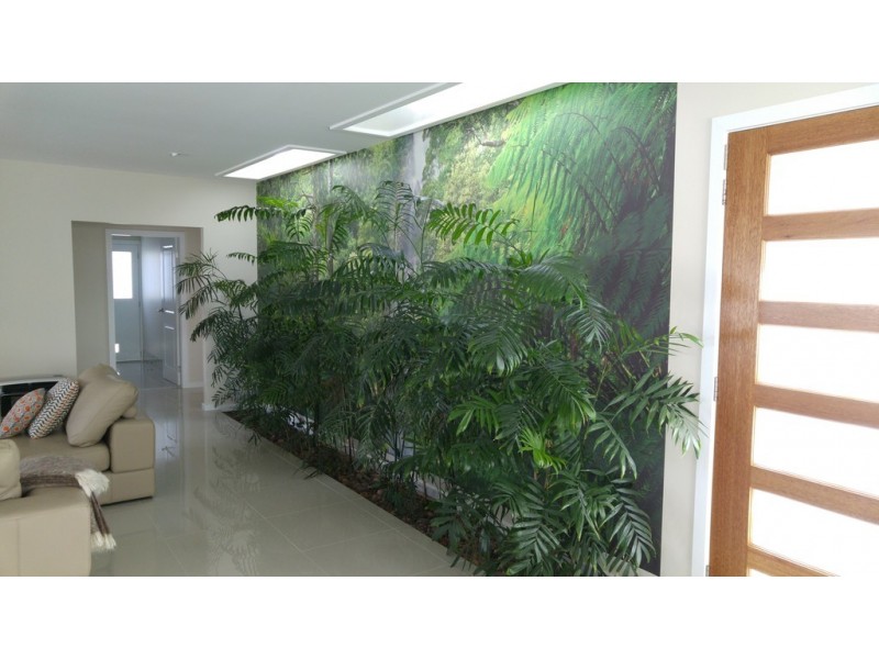 4 Mulga Place, Ulladulla NSW 2539