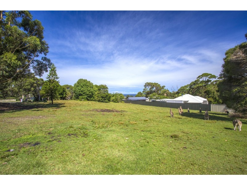 17 Forest Road, Kioloa NSW 2539
