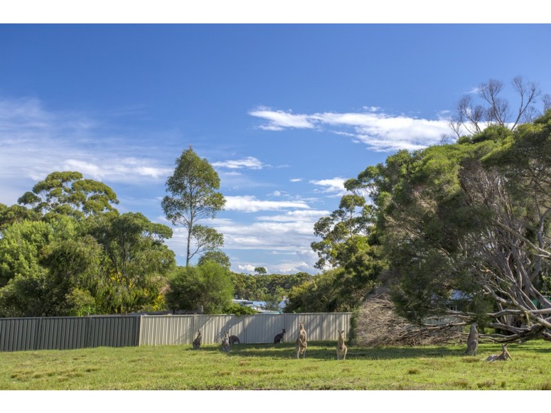 17 Forest Road, Kioloa NSW 2539