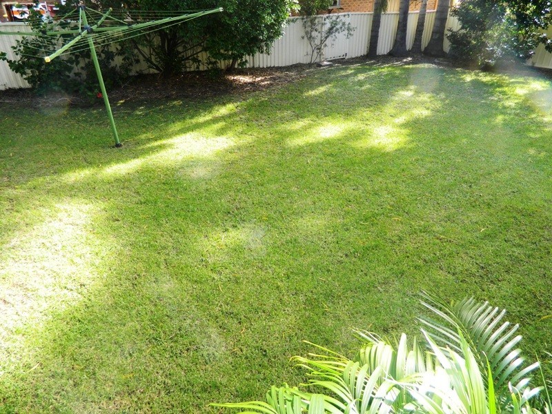 11 The Haven, Mollymook NSW 2539
