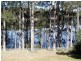 44 Kings Point Drive, Kings Point NSW 2539